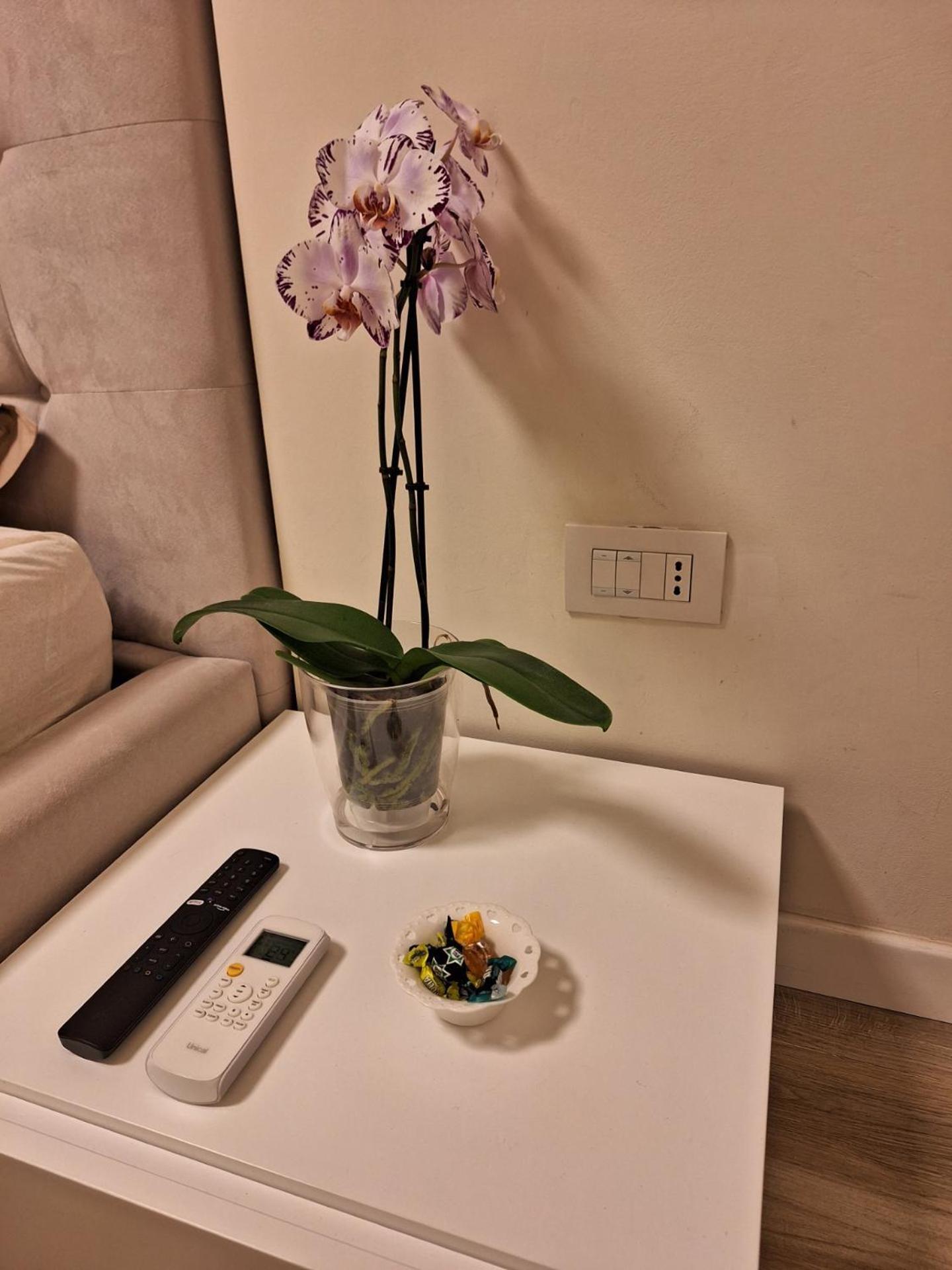 Il Colibri Apartment Алгеро Екстериор снимка